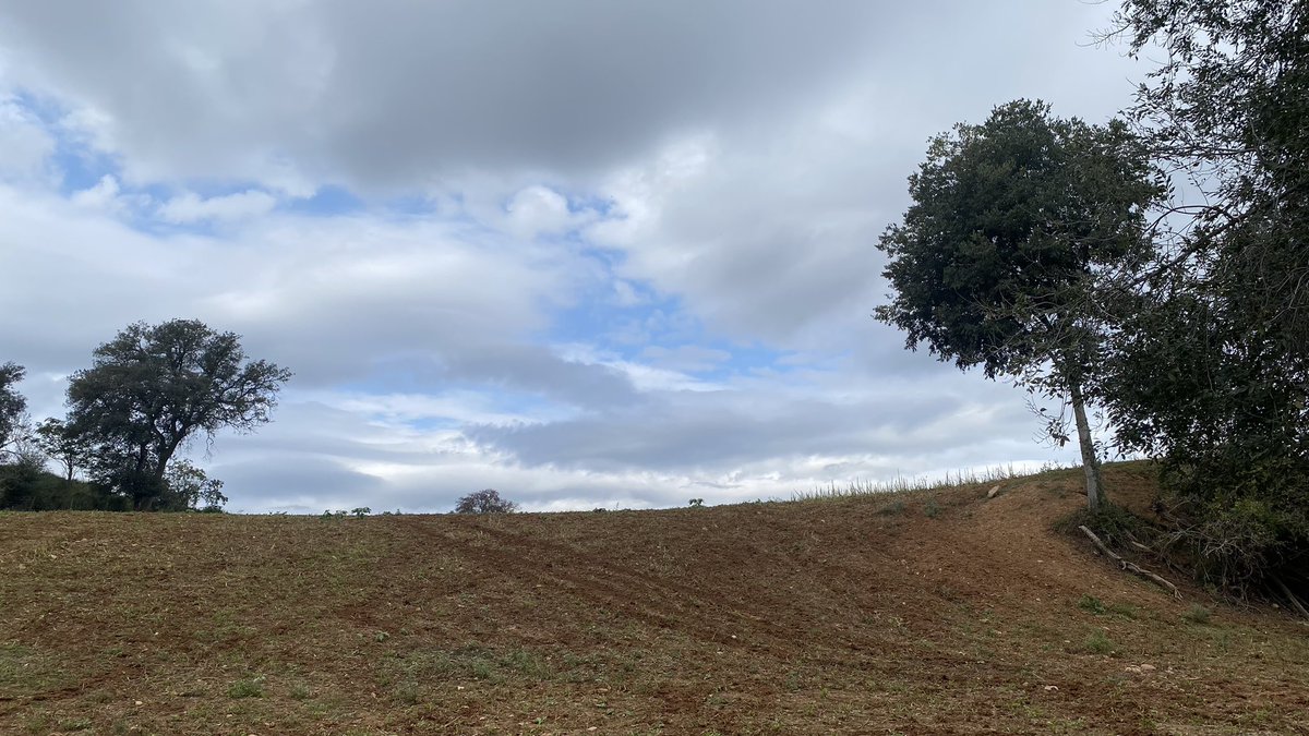 panenko4's tweet image. Octubre’24 a Palau Solità i Plegamans #Stormhour @StormHour