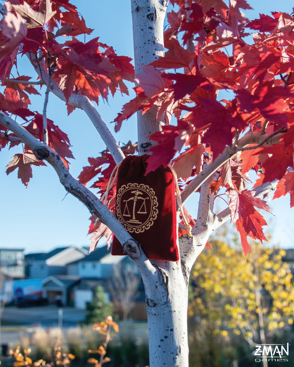 The leaves may be changing, but Love Letter stays the same 💌

#LoveLetterGame #CardGame #DeductionFun #QuickCardGame #TableTopGames #GameNightEssentials #FamilyFriendlyGames #BoardGameAddict #BoardGamesOfInstagram #BoardGames