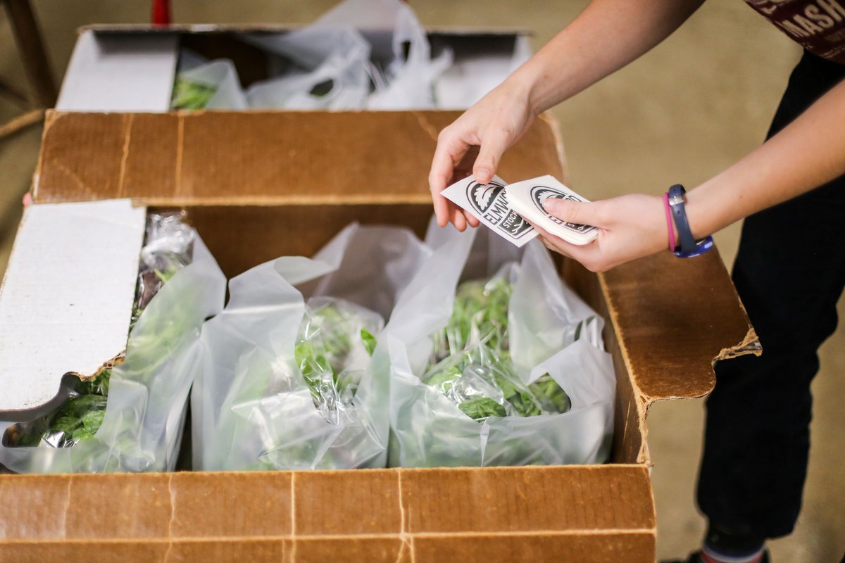 Join Elmwood Stock Farm in Georgetown, KY as an Order Fulfillment &amp; Customer Service Supervisor! Manage performance metrics, oversee customer interactions, ensure order accuracy, &amp; more. Offering $50K-$55K/yr, bonuses, and benefits. Apply now: aghires.com/career/271963/…