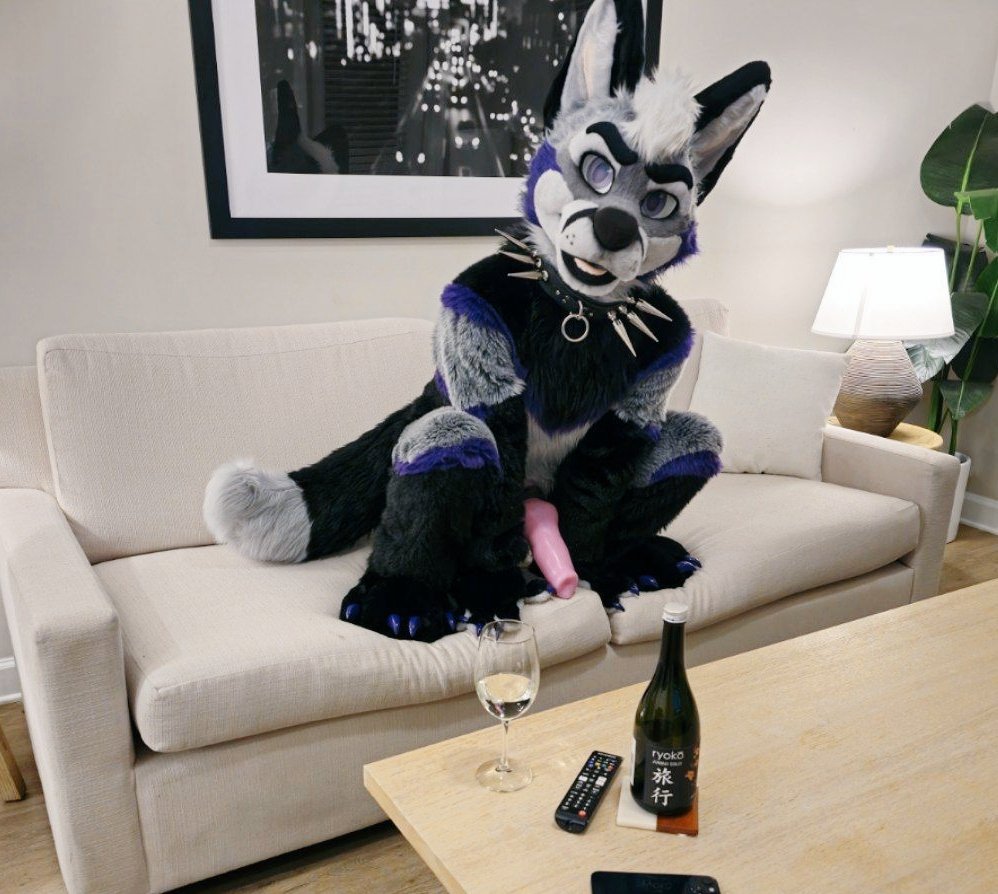 BelmontFox's tweet photo. Dogs ARE allowed on the couch at my place 🦊🛋 https://t.co/PYw2JF4n90