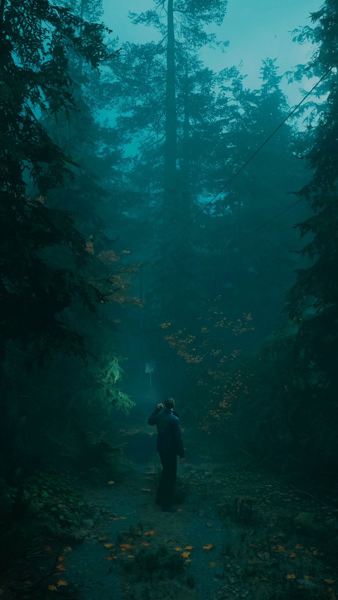 Morph__1's tweet photo. Alan Wake 2 - The Lake House https://t.co/f4l86aSnIR