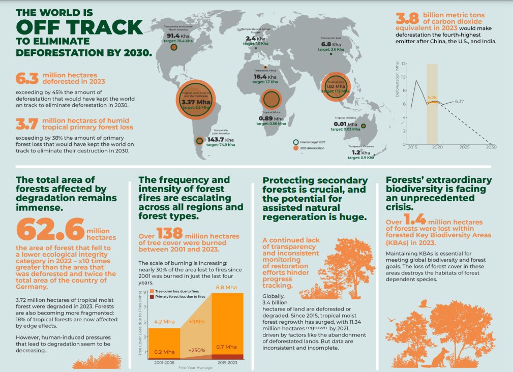 CIFOR-ICRAF (@cifor_icraf) on Twitter photo ❓Is the world on track to restore 30% of degraded & deforested landscapes by 2030?
🔖This chapter tracks progress toward the KM-GBF target of restoring 30% of degraded and deforested landscapes.
Download a free copy👉 bit.ly/4fjRW7K
#Trees4Resilience| <a href="/Forest_Assess/">Forest Declaration Assessment</a> ❓Is the world on track to restore 30% of degraded & deforested landscapes by 2030?
🔖This chapter tracks progress toward the KM-GBF target of restoring 30% of degraded and deforested landscapes.
Download a free copy👉 bit.ly/4fjRW7K
#Trees4Resilience| <a href="/Forest_Assess/">Forest Declaration Assessment</a>