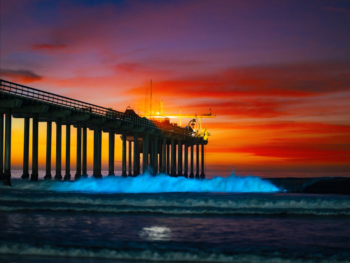 UC San Diego tweet media