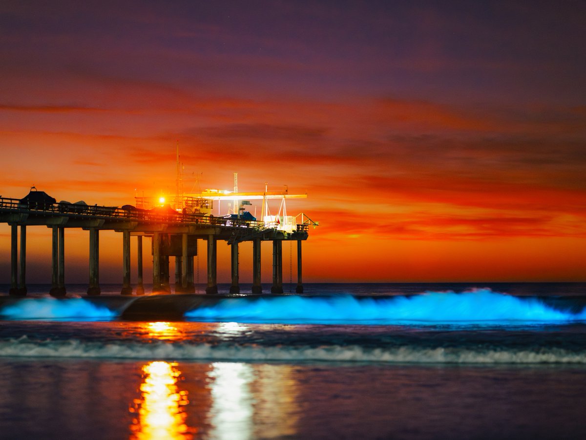 UC San Diego tweet media