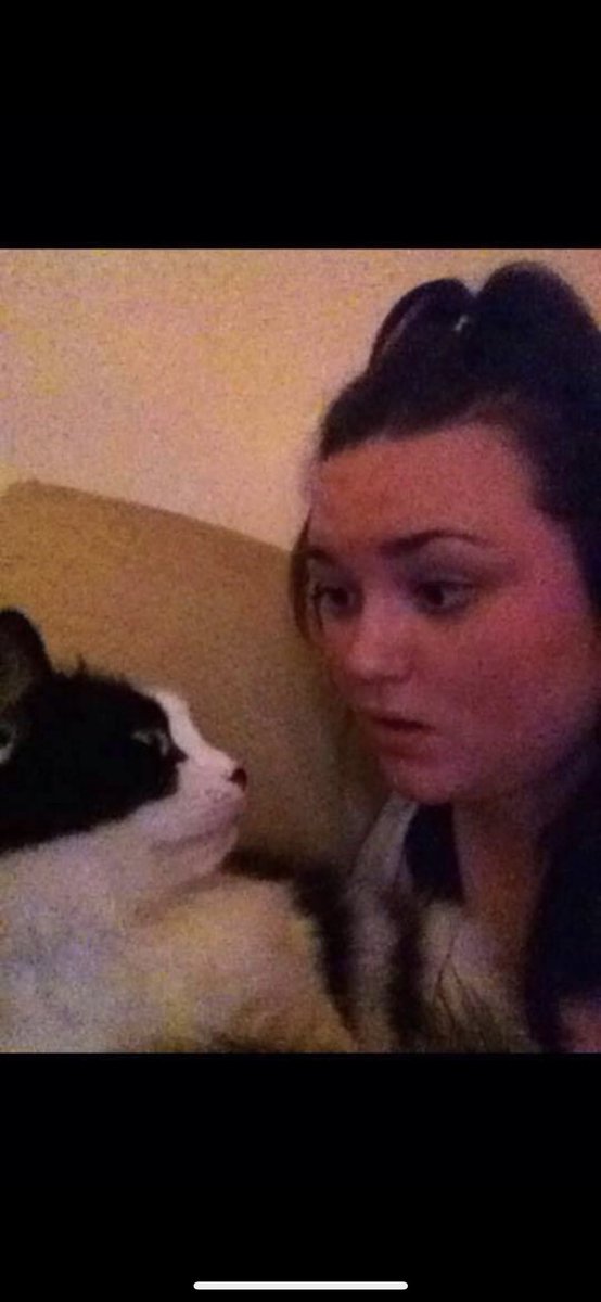 JoanneLiverpool's tweet photo. My cat, Stan has just told me the storyline for Eastenders this Christmas and it’s SHOCKING 

@bbceastenders https://t.co/f3xl2qDca8
