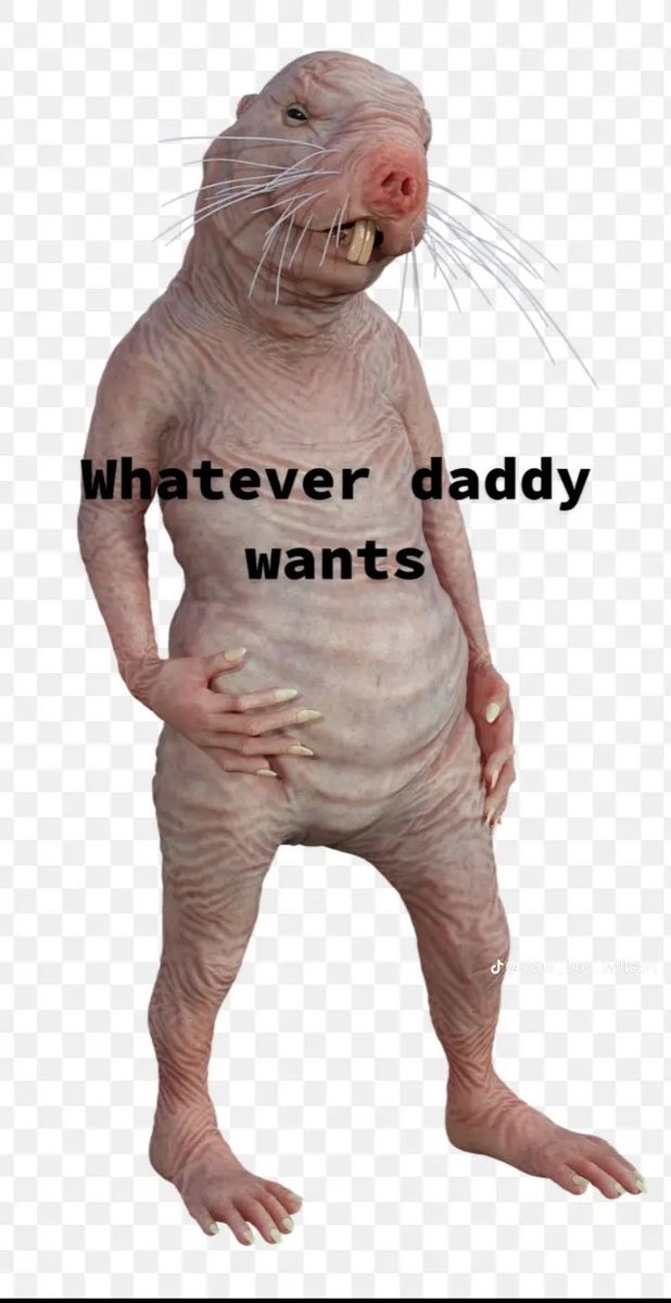 😏😏😏😏😏