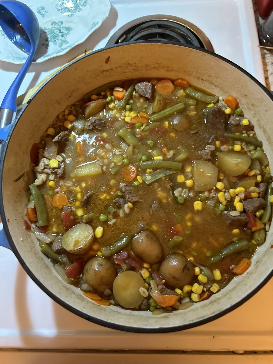 Vegetable beef and barley soup for dinner 😍😍😍