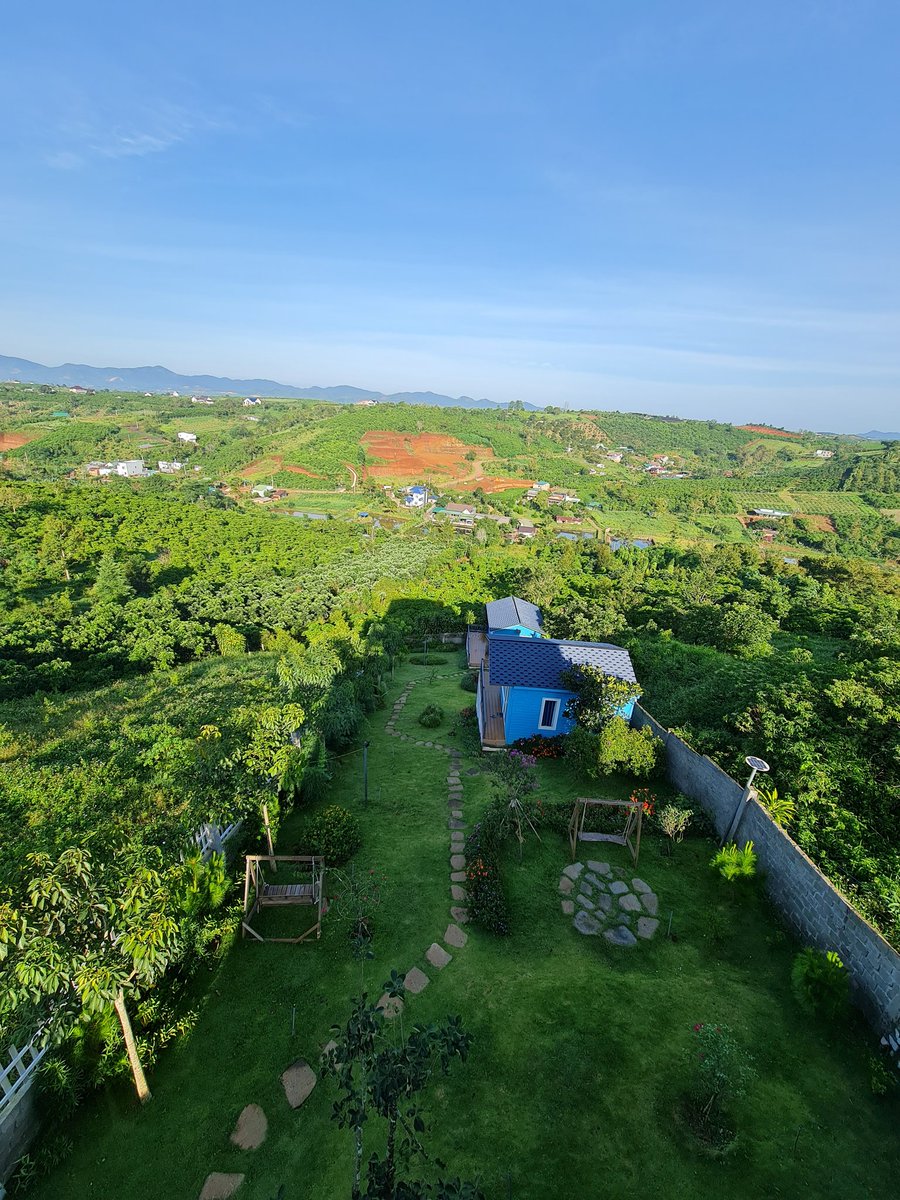 Dương Hồng Nghi | Mina tweet media