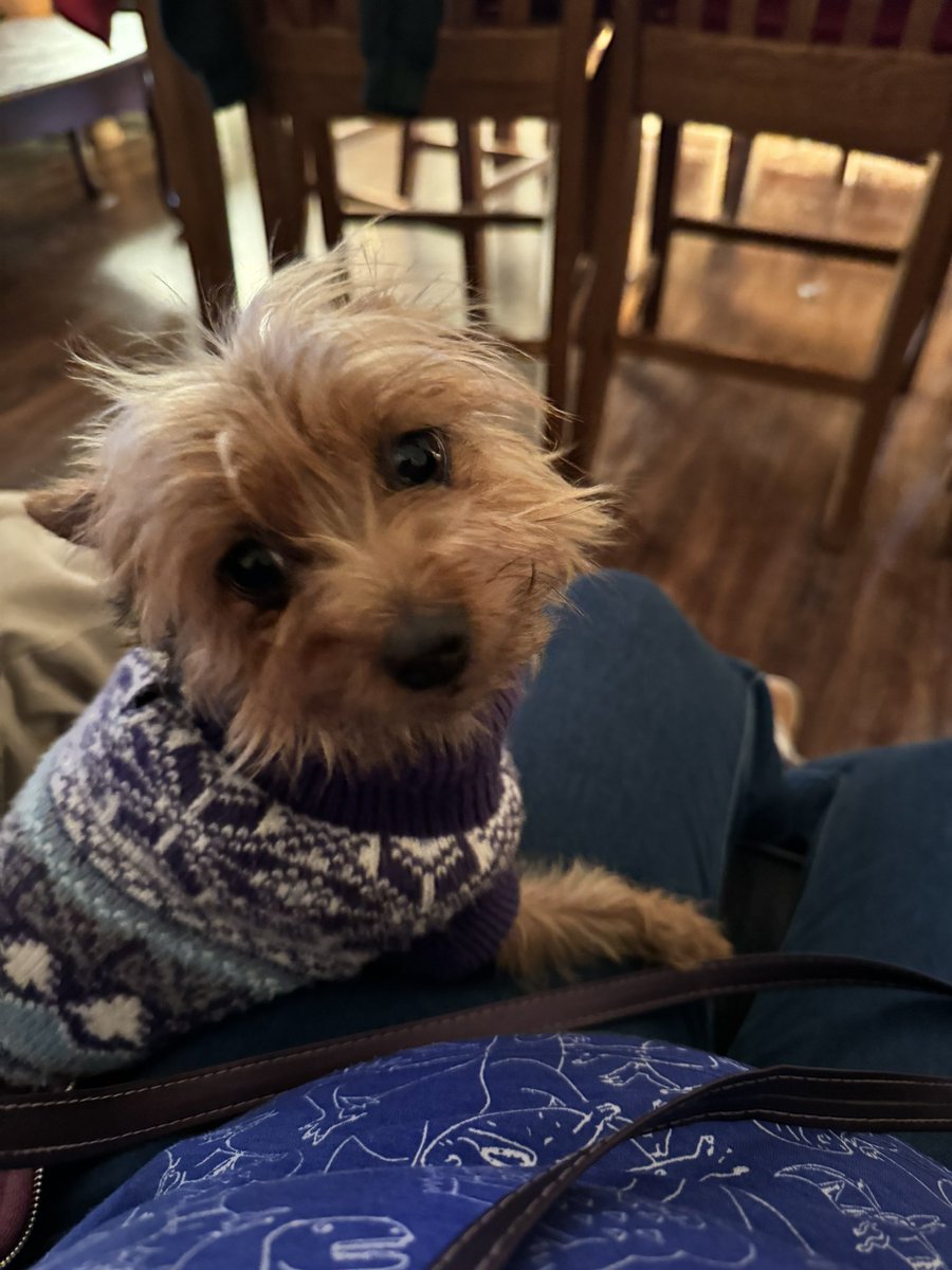 Rachel Glickler tweet media