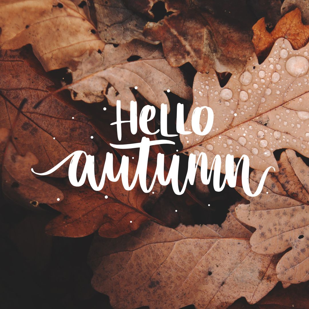 New season, new time change, new habit?  Focus on one habit change at a time and build from there.  What’s one thing you’re working on in November?