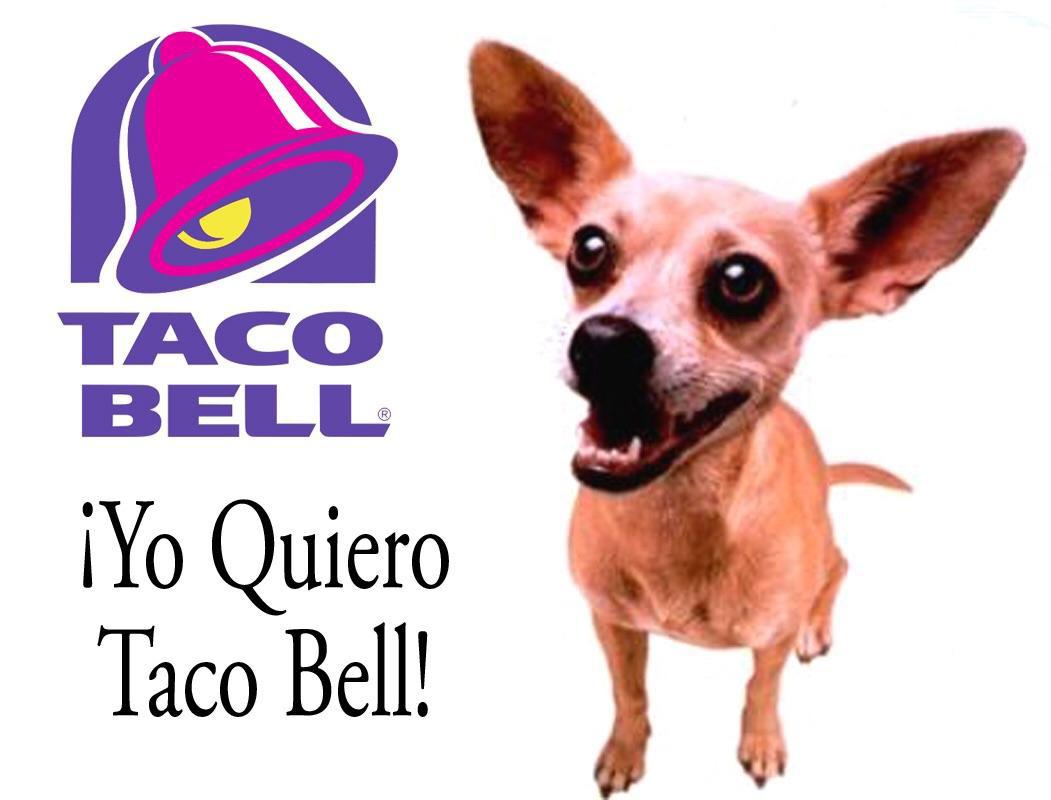 I would love it if Trump brought back the Taco Bell dog. I miss those days.