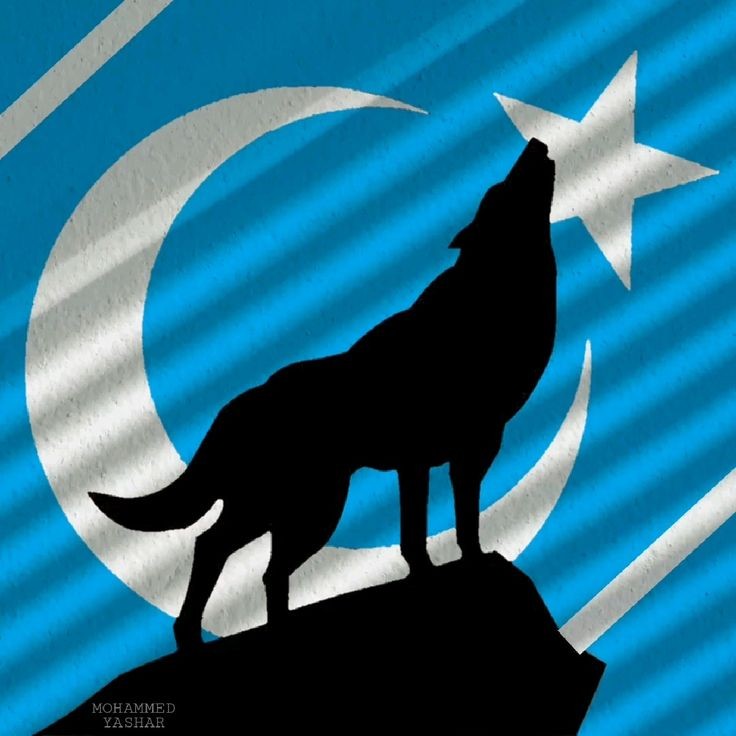 <a href="/SSeedtarrah/">Sahand Seedtarrah</a> Can Kerkük Türkmen eli Kerkük