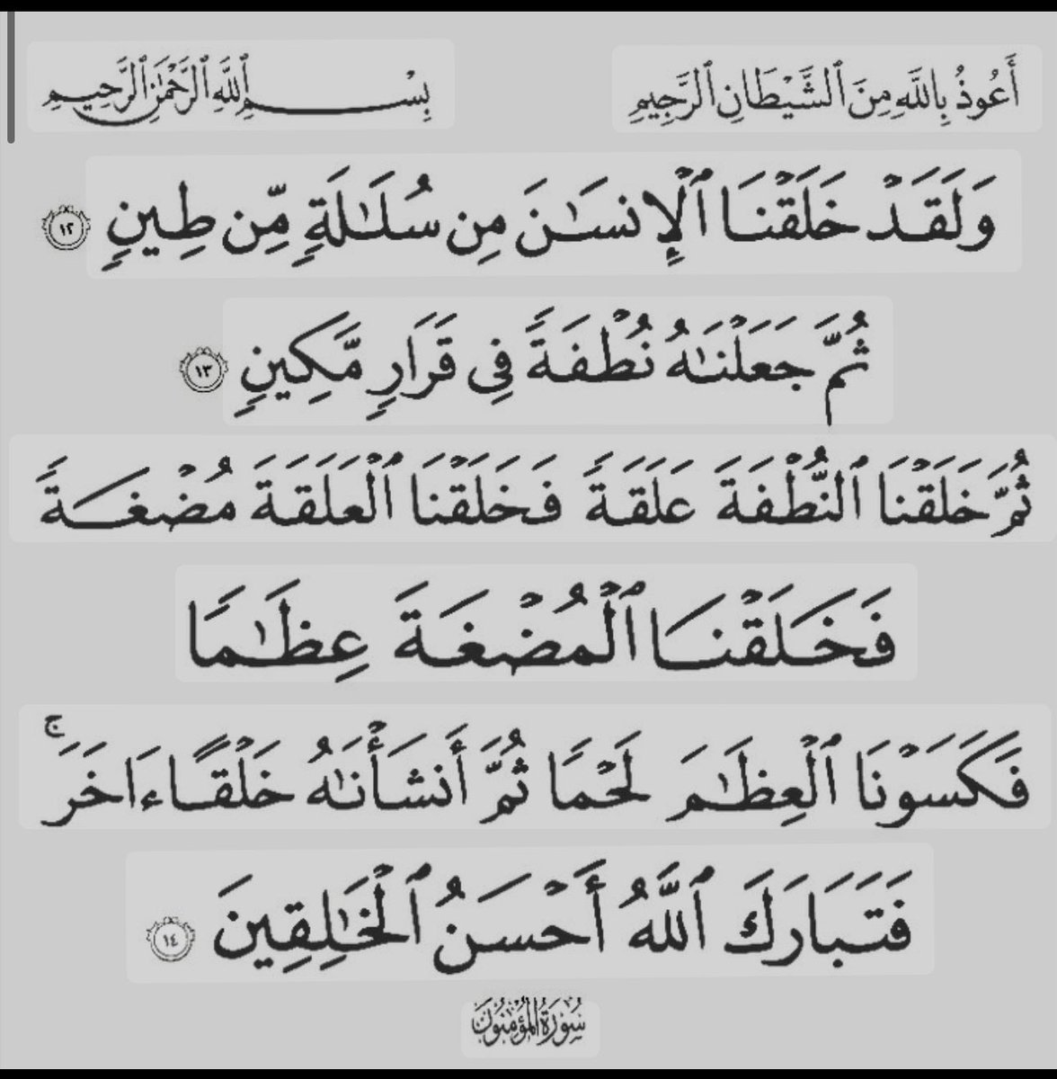 anfcc's tweet photo. يارب خلقتني ووضعت فيني هذه الروح ,
ووضعت قلبًا ينبض وسط أحشائي ,
قر فيه برؤية جنيني سالمًا معافًا , https://t.co/999LriQ1oG