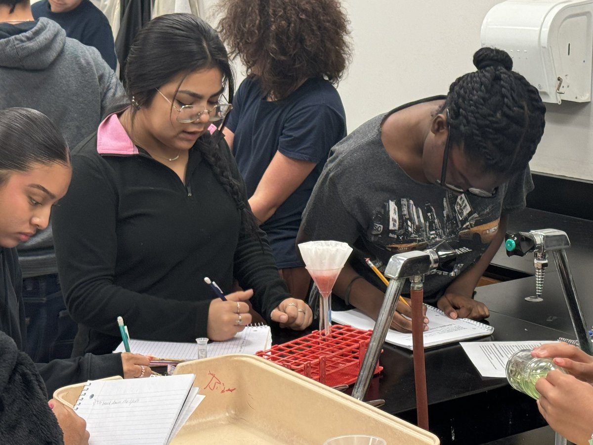 Spalding Biology tweet media