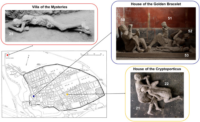 We're 'Current' Biology, but we love studies of history through the lens of modern science. 

Often such studies challenge the archaeological or historical narrative.

Like the story of the plaster casts of #Pompeii as told by #DNA 🌋🏚️🧬👇👇👇👇

cell.com/current-biolog…