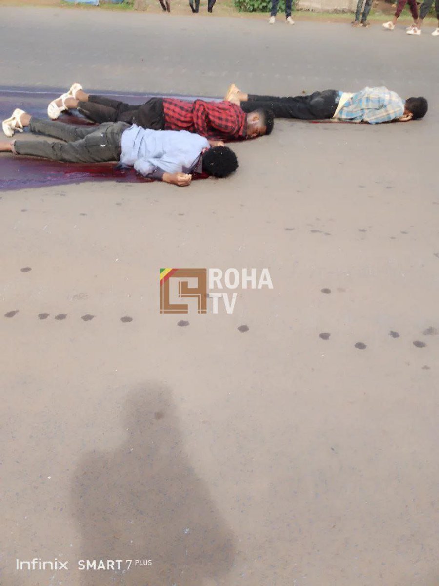 EmishawEskedar's tweet photo. Alarming developments and gruesome details of execution style mass murder in #Amhara region carried out by #ENDF. Bodies lying around every where.  These are not armed fighters,they are just regular people going about their day.  Civilians must be protected!
#AmharaGenocide
@AnaMartinsGomes @StateDept @UNHumanRights @hrw @amnesty