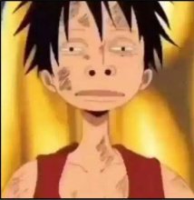 ✨Fenec Foxito ✨ tweet media