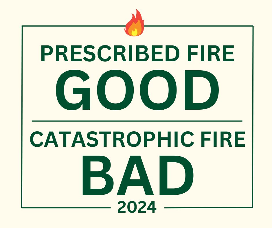 CoconinoNF's tweet photo. We guess this kind of educational graphic is well-received. In the most non-partisan manner, this statement is true. Let's focus on the ecology.

Fire is an important ecological process. Fire managers use prescribed fire to mimic the natural role of fire on the landscape. Prescribed fire can be used to maintain and restore the condition and function of ecosystems and to reduce wildfire risk. This work, in turn, assists fire responders in protecting communities, property, and infrastructure in the event of wildfire. Prescribed fires are carefully planned and managed to reduce wildfire risk while minimizing potential environmental, economic and public health impacts. Benefits of prescribed fire over wildfire include the ability of managers to plan for it, control the conditions of the burn, and minimize the smoke impacts.

There was a prescribed burn today! Fire managers burned piles near Snowbowl Road.