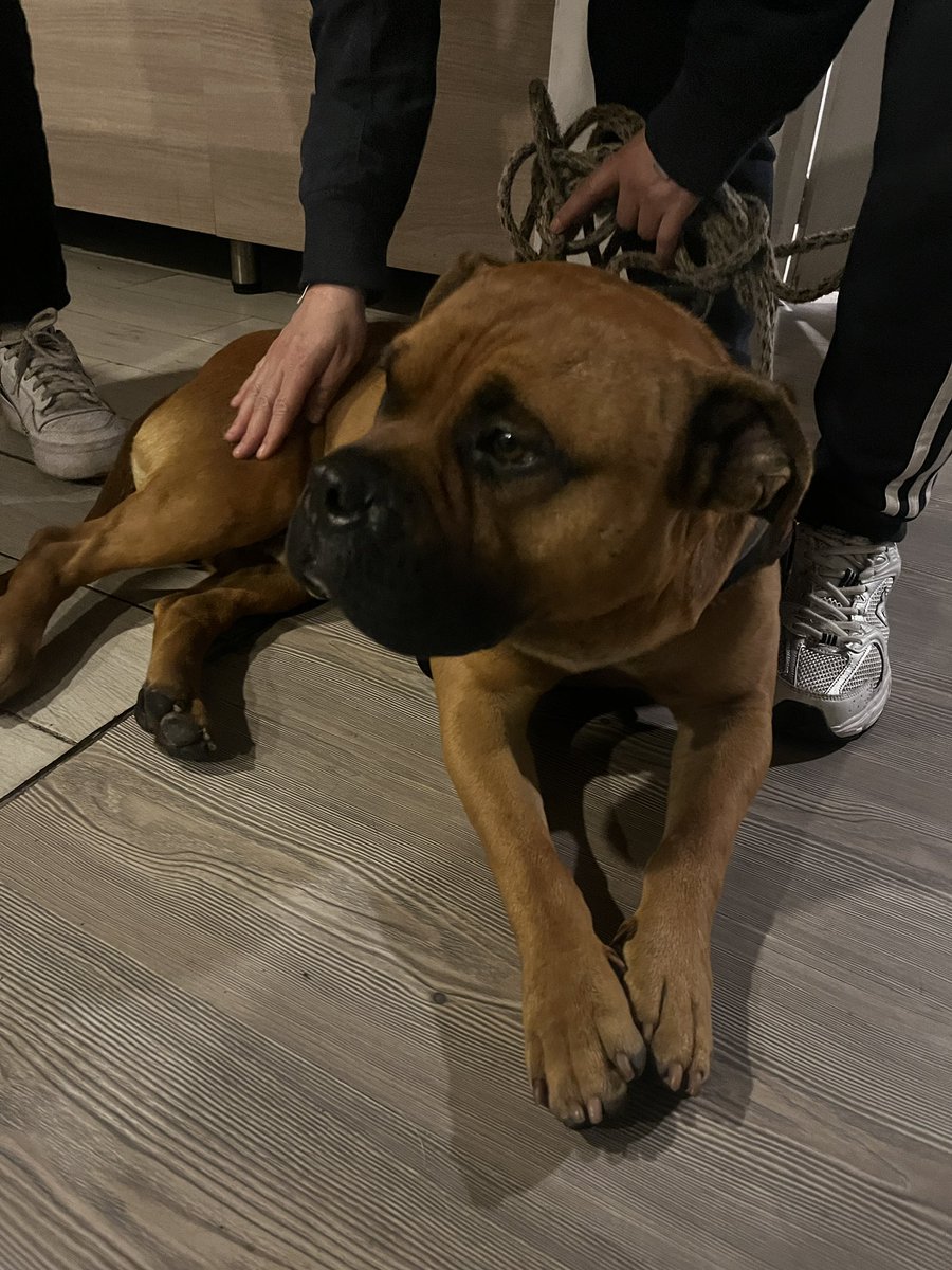 moleculis tweet media