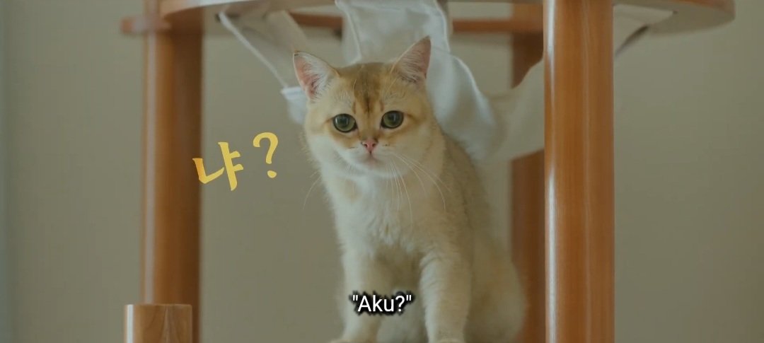 K-Drama Menfess tweet media