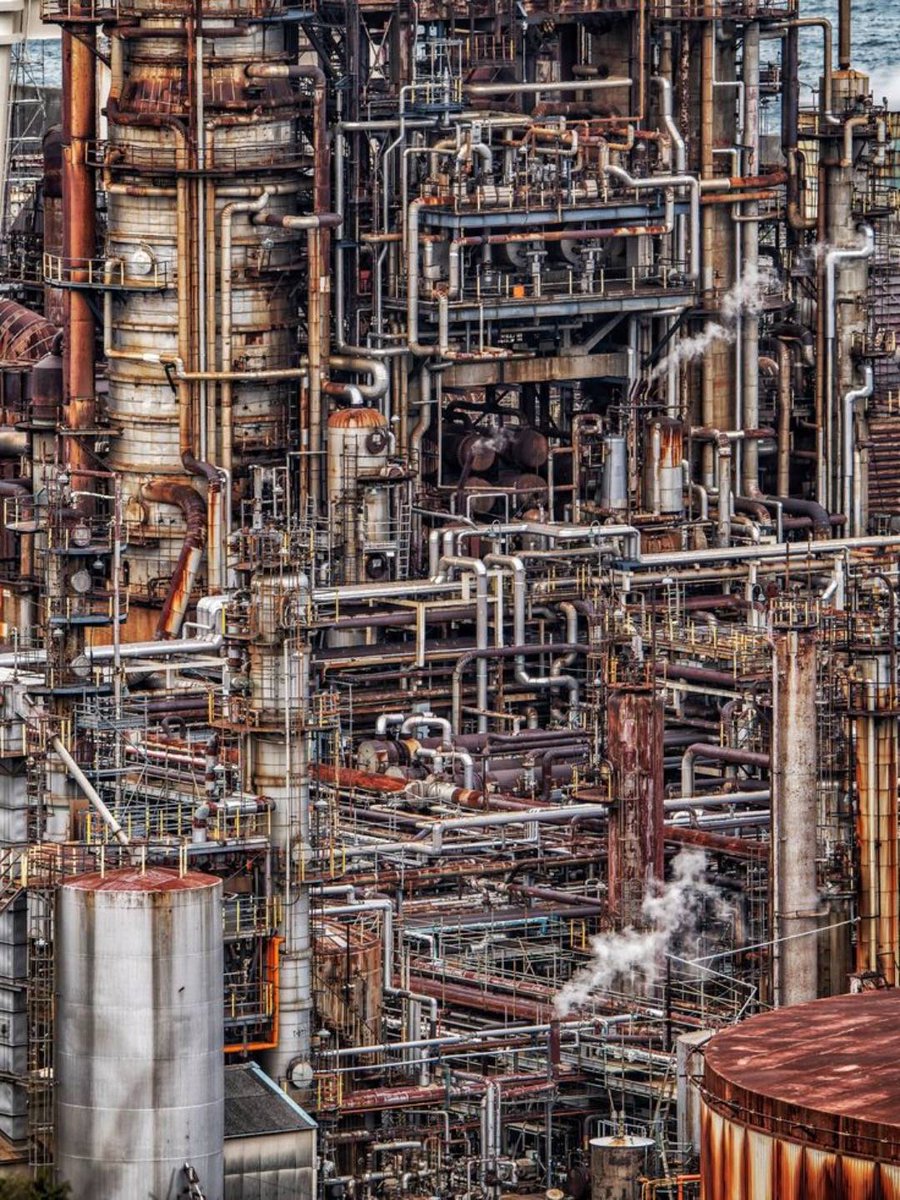 🦉Hootz🐍🇵🇸 tweet media