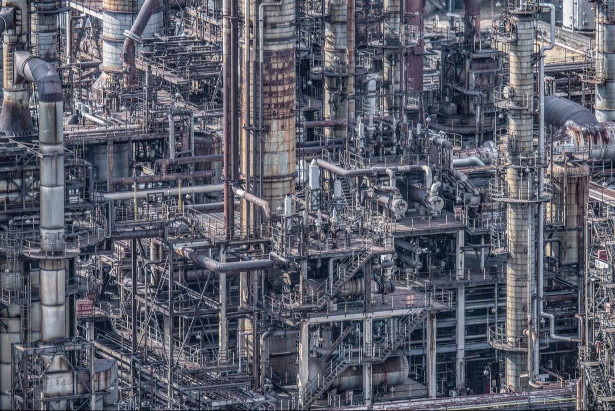 🦉Hootz🐍🇵🇸 tweet media