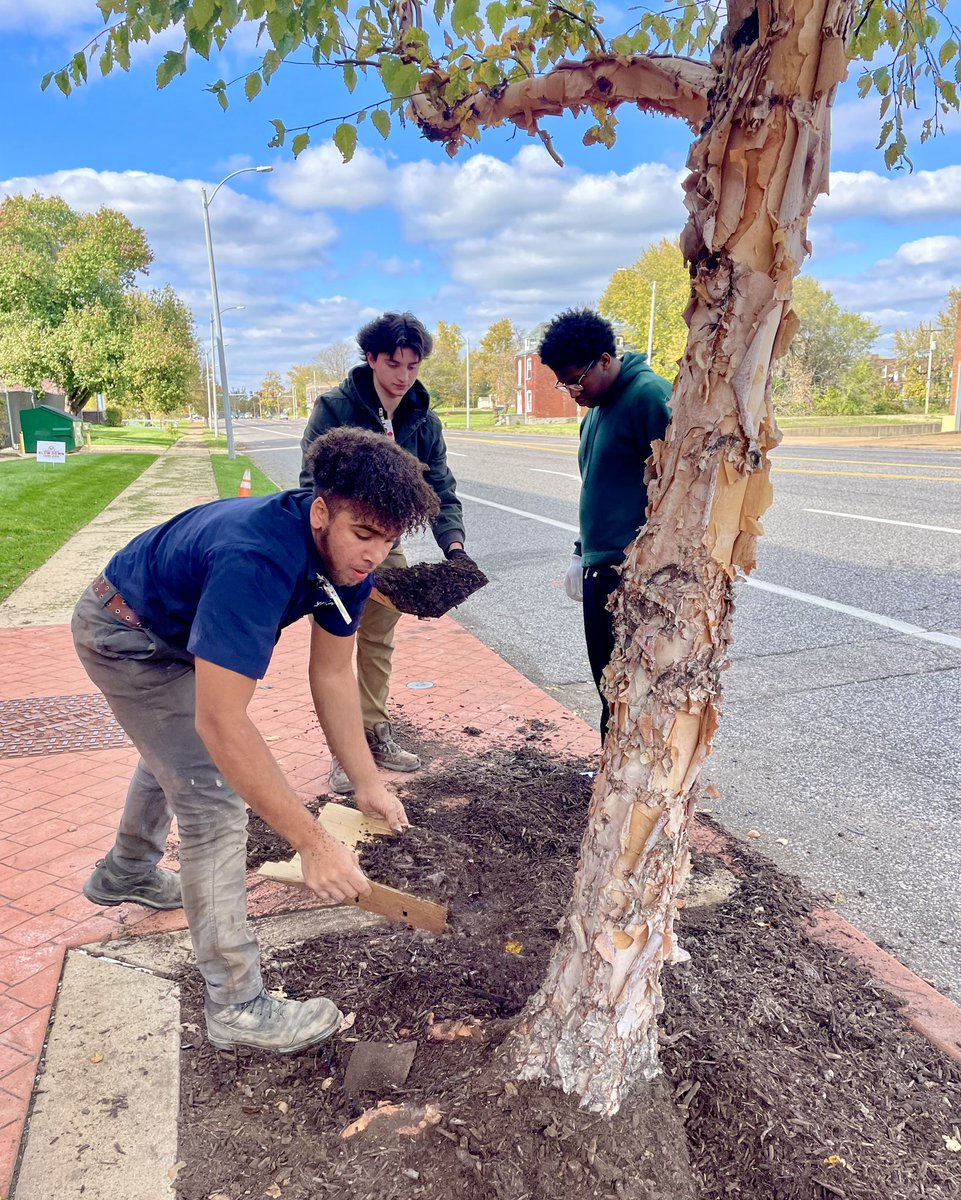 Together w/ staff + students from <a href="/rankentech/">Ranken Technical College</a>, our <a href="/BankofAmerica/">Bank of America</a> #STL volunteers planted 8K daffodil bulbs near Ranken’s campus to help beautify the area and make a long-lasting impact. 

We’re proud to support <a href="/rankentech/">Ranken Technical College</a>, providing students w/ the training + skills to succeed.