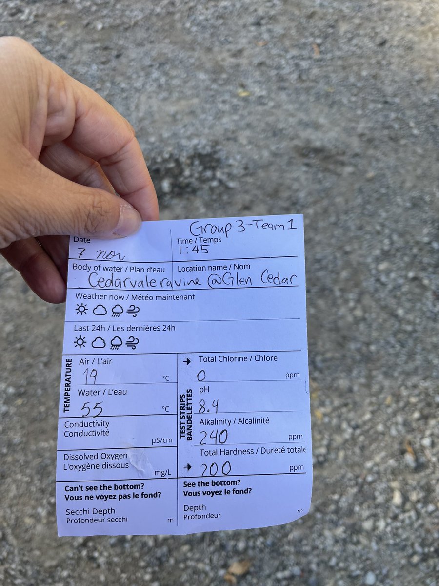 We are scientists! We tested water at the Cedervale ravine for its chlorine, temperature, pH level, alkalinity and hardness.