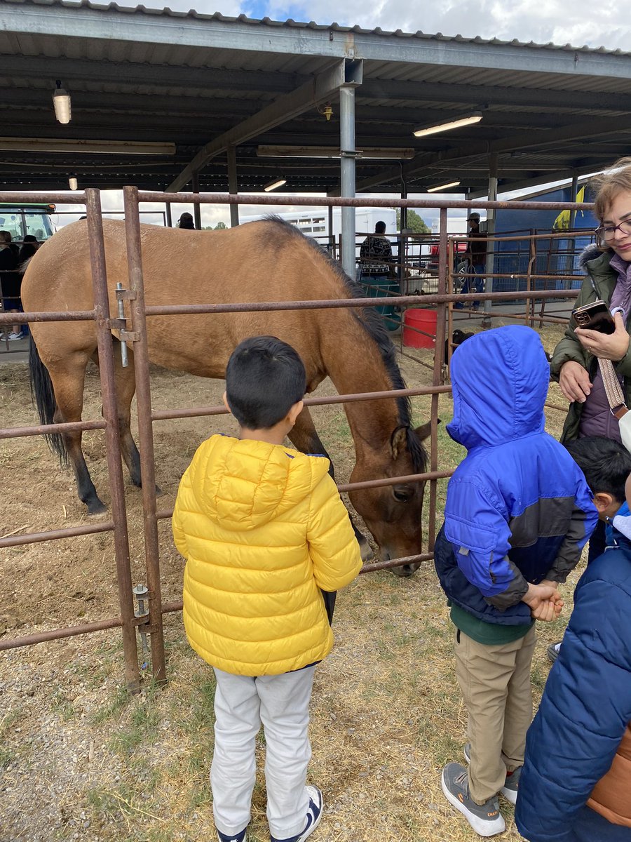 Isabel Justo tweet media