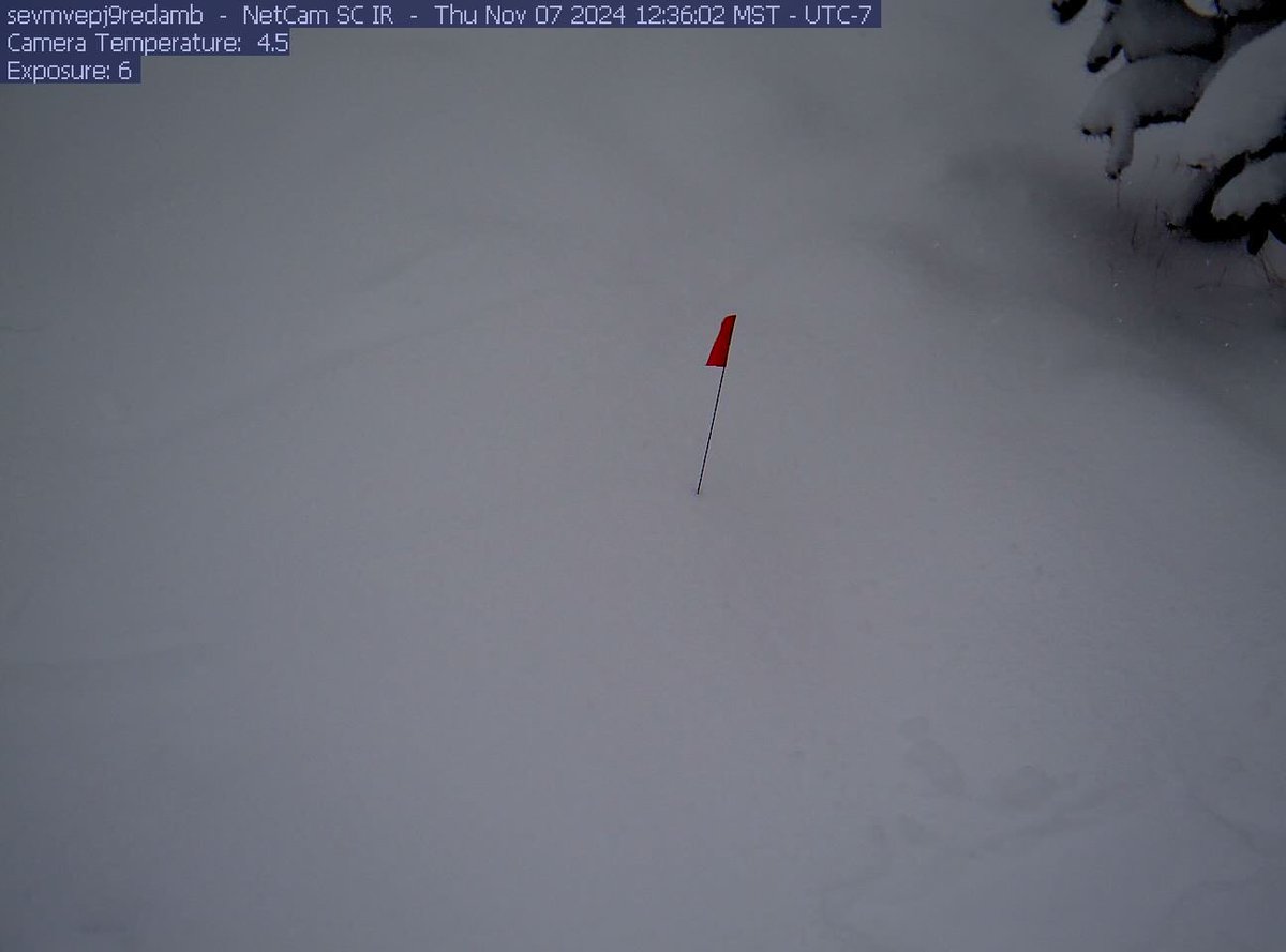 jacobjblais's tweet image. Lots of precip. and cold temperatures in central New Mexico means snowpack in the Chihuahuan Desert! I’m jealous this @PhenoCam gets to witness it. 🌨️
@SEVLTER @USLTER @EcossNau