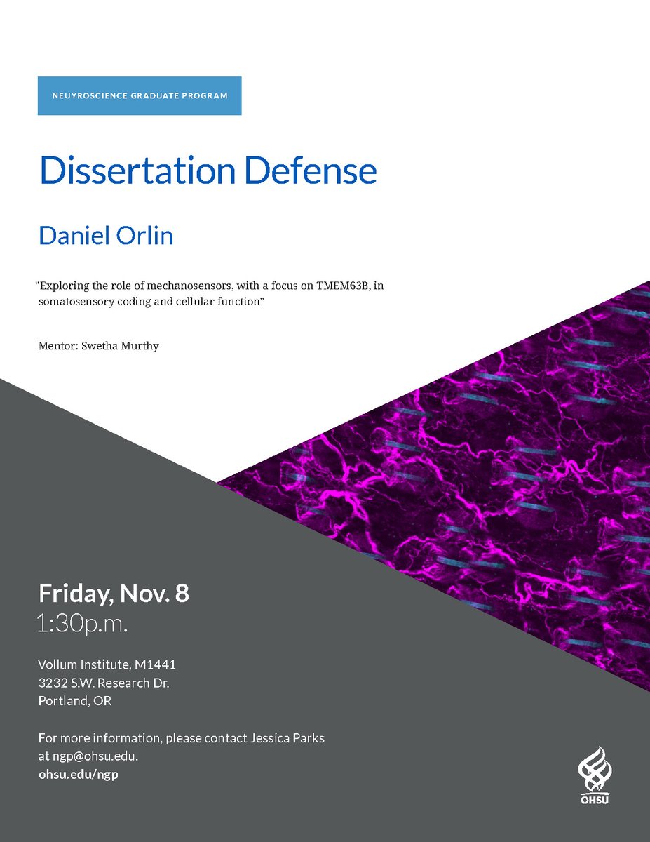 Join us Friday, Nov 8th for Daniel Orlin's Dissertation Defense: "Exploring the role of mechanosensors, with a focus on TMEM63B, in somatosensory coding and cellular function" at 1:30pm in Vollum's M1441. #OHSUResearch  
cc: @ngpohsu, <a href="/DanielOrlin1/">Dorlin</a>, <a href="/MurthySE/">Swetha Murthy</a>