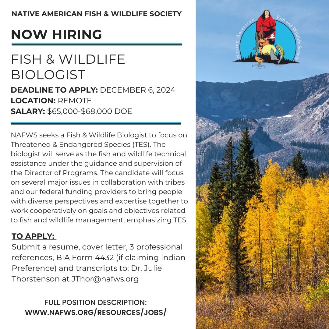 🪶The Native American Fish and Wildlife (NAFWS) team is looking to hire a Fish &amp; Wildlife Biologist to focus on Threatened &amp; Endangered Species (TES).
💻This position is remote and a full-time salaried position.
nafws.org/resources/jobs/
Please share this post! 🙂