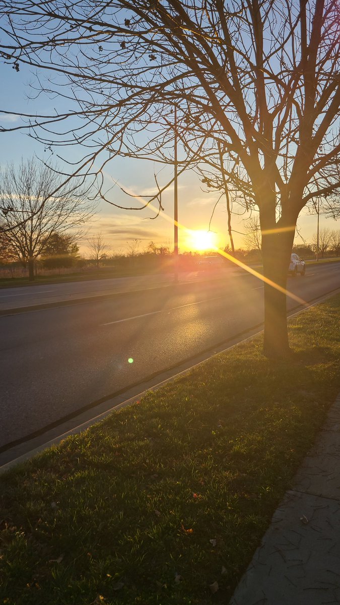 beautifullyarti's tweet image. On my walk today. #onewithnature #Divinefemininity #grounded #twinflames #justmissingyou