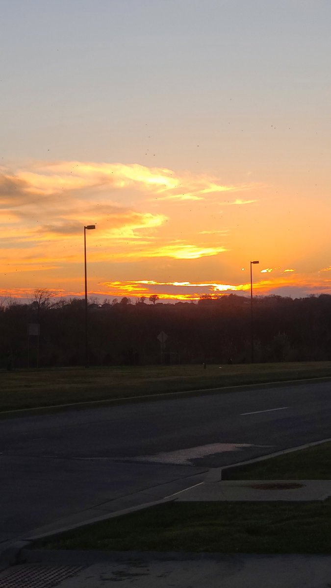 beautifullyarti's tweet image. On my walk today. #onewithnature #Divinefemininity #grounded #twinflames #justmissingyou