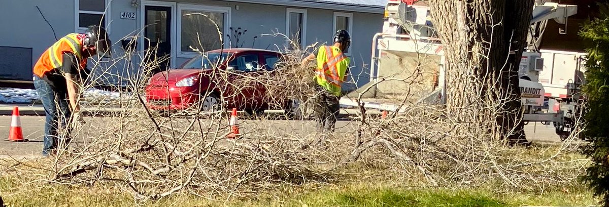 hapandcarol's tweet photo. #HAPPINESS is the city of Red Deer employees pruning an elm tree on the boulevard that had grown over the roof of the house, cleaning up the branches and getting rid of the branches in their chipper. Thank you to these employees. #cityofreddeeremployees #cityofreddeer. #elmtree https://t.co/fh01u3i58k