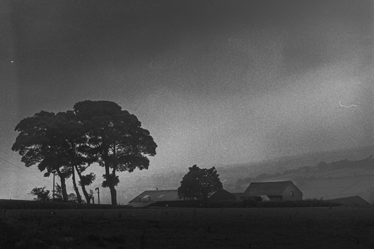 nomoth (@apevisions) on Twitter photo 