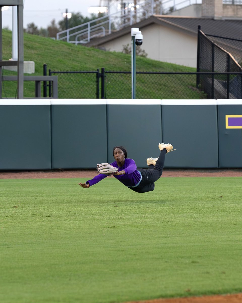 LSU Softball tweet media