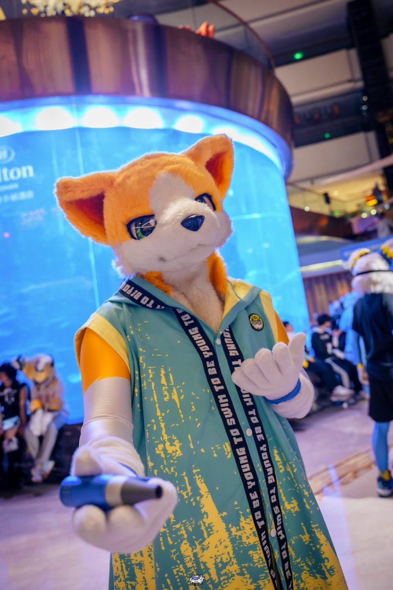 喵小杰Jmeow&LemonBiscuit tweet media