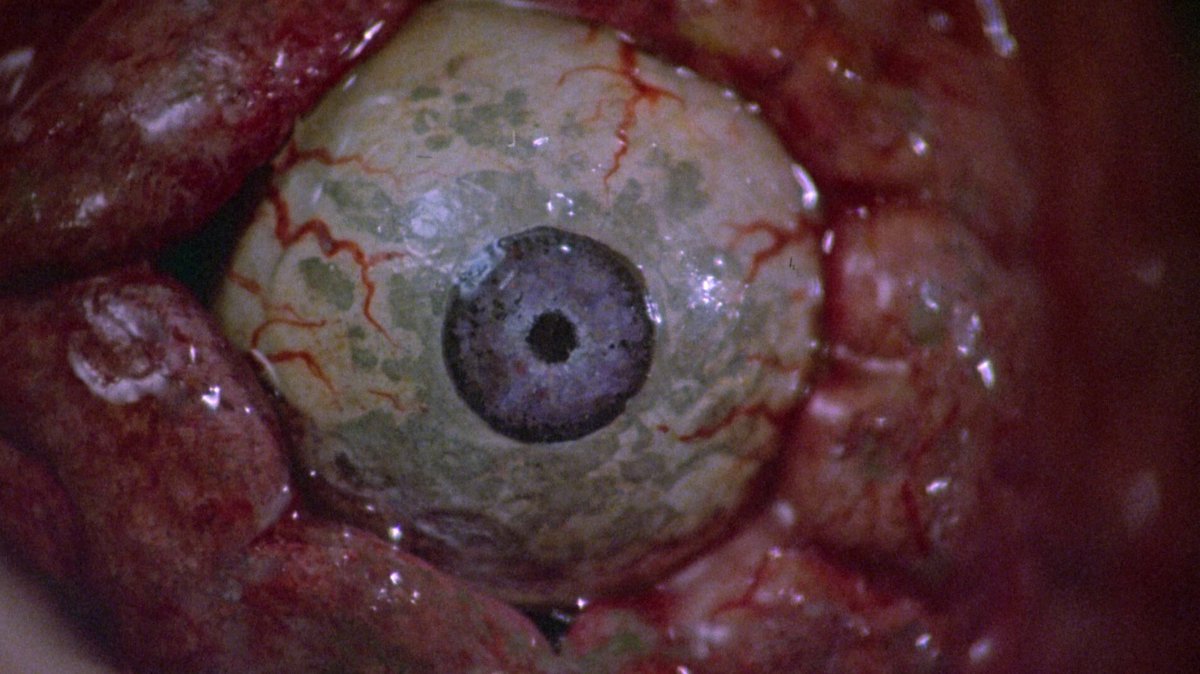 slasherbaddies's tweet photo. we should praise the likes of yuzna, henenlotter and gordon more when it comes to body horror, as a matter of fact the substance has more to do with the satirical in-your-face approach seen in society (1989) than anything from cronenberg, which tone and intentions are divergent https://t.co/DTtTEwUe2n
