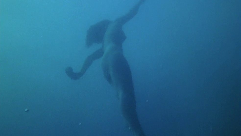 Mermaid Legend (人魚伝説) (1984) - Toshiharu Ikeda https://t.co/l0nCB8OVrj