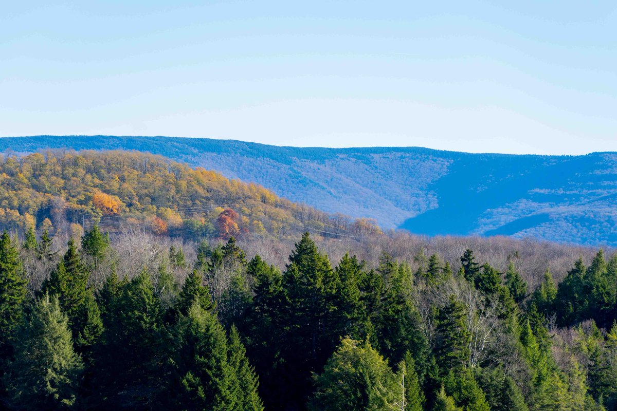 TuckerCounty_WV (@tuckercounty_wv) on Twitter photo Mount Porte Crayon as seen from <a href="/CanaanResort/">Canaan Valley Resort</a> is the highest point on the Eastern #ContinentalDivide in Maryland, Pennsylvania, and West Virginia.
#gettuckered <a href="/WVStateParks/">WV State Parks</a> Mount Porte Crayon as seen from <a href="/CanaanResort/">Canaan Valley Resort</a> is the highest point on the Eastern #ContinentalDivide in Maryland, Pennsylvania, and West Virginia.
#gettuckered <a href="/WVStateParks/">WV State Parks</a>