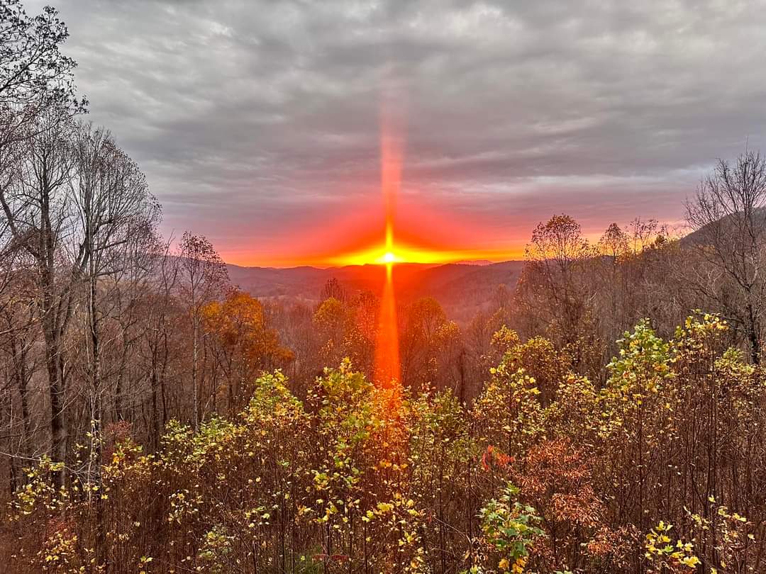 Denise TrautmannRN (@trautmannrn) on Twitter photo 