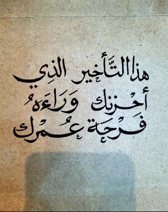 iQutesii's tweet photo. فاطمئن .🤍" https://t.co/aucHybWteM