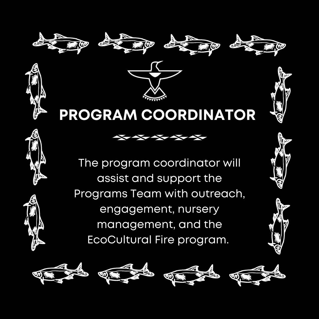 We’re actively recruiting for our Program Coordinator position! The program coordinator will assist and support the Programs Team with outreach, engagement, nursery management, and the EcoCultural Fire program. TribalEcoRestoration.org/now-hiring
#LakeCountyCA #CulturalFire