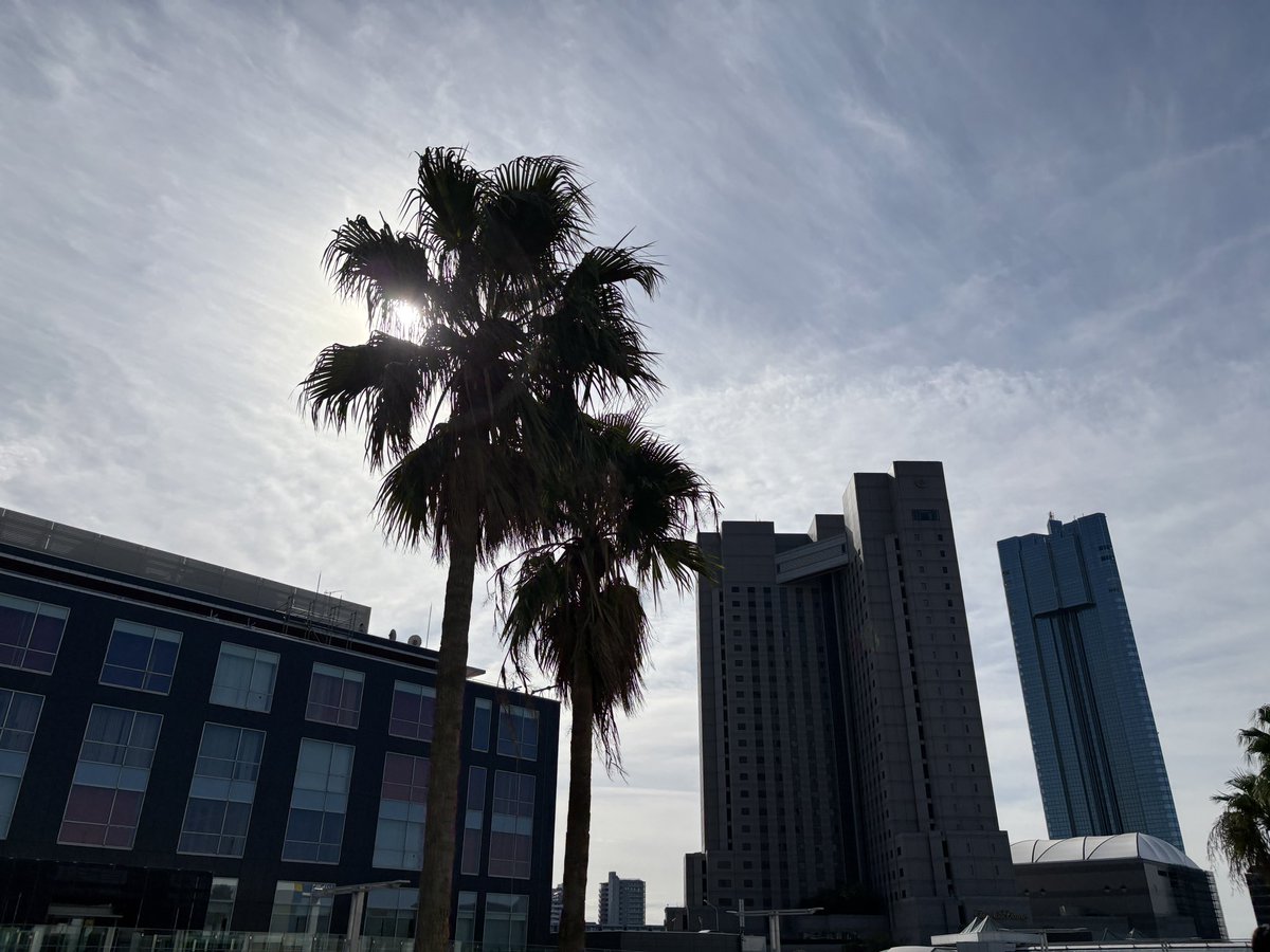 おはようございます🌞
本日も幕張はいい天気！昨日よりも若干暖かいです✌🏻

本日も #cybozudaysで会いましょう ！
お待ちしております🍣
#企業公式 #企業公式さんと繋がりたい 
#企業公式が朝の挨拶を言い合う 
#企業公式が毎朝地元の天気を言い合う