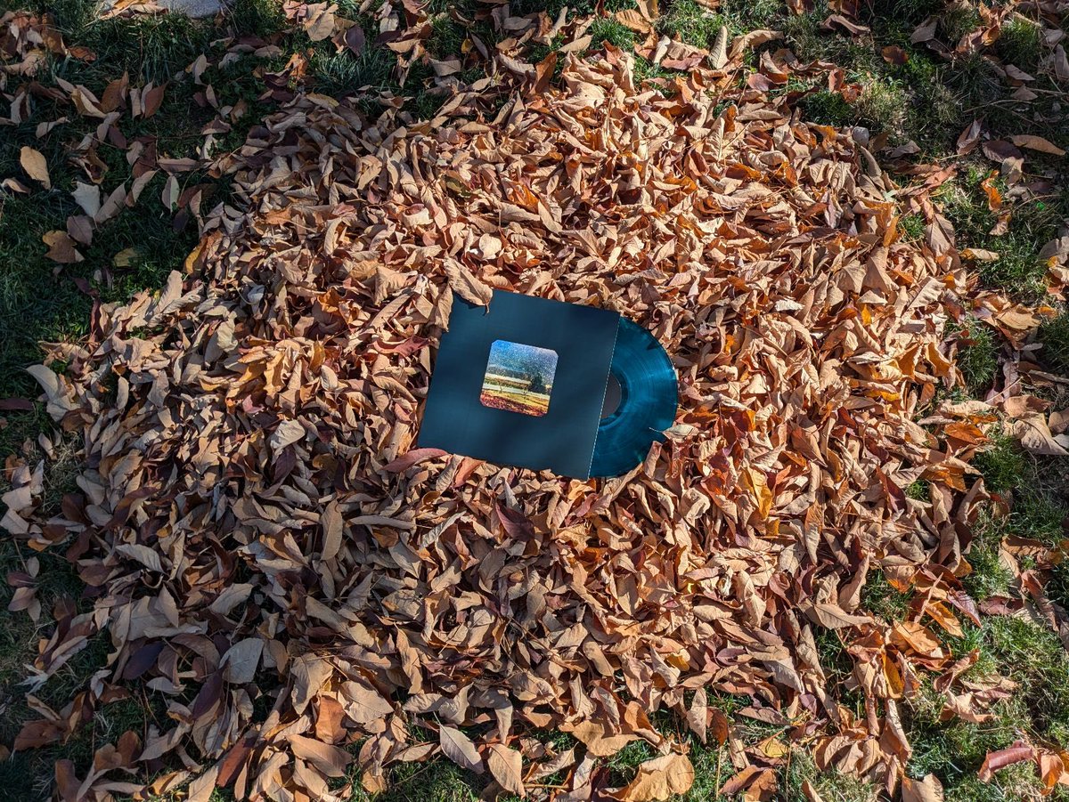 Happy one week birthday to our second child “how we dig in the earth”