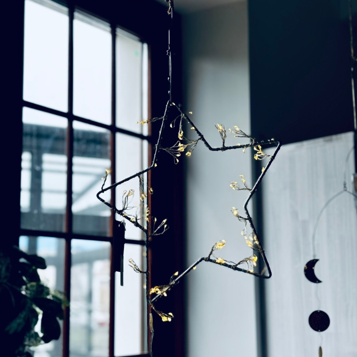 portus_official's tweet photo. 【オンライン・店頭商品】
大きなスターに繊細なLEDライトを
まとったハンギングライト💡

今の季節だとクリスマスの
飾り付けにもぴったりですよ♪🎅

お好きな空間に吊り下げて、
あなただけの特別な空間を作りましょう🧚‍♀️

商品詳細はALTから🌟
#shesay #インテリアライト
#企業公式相互フォロー https://t.co/UYJvXQBqTv