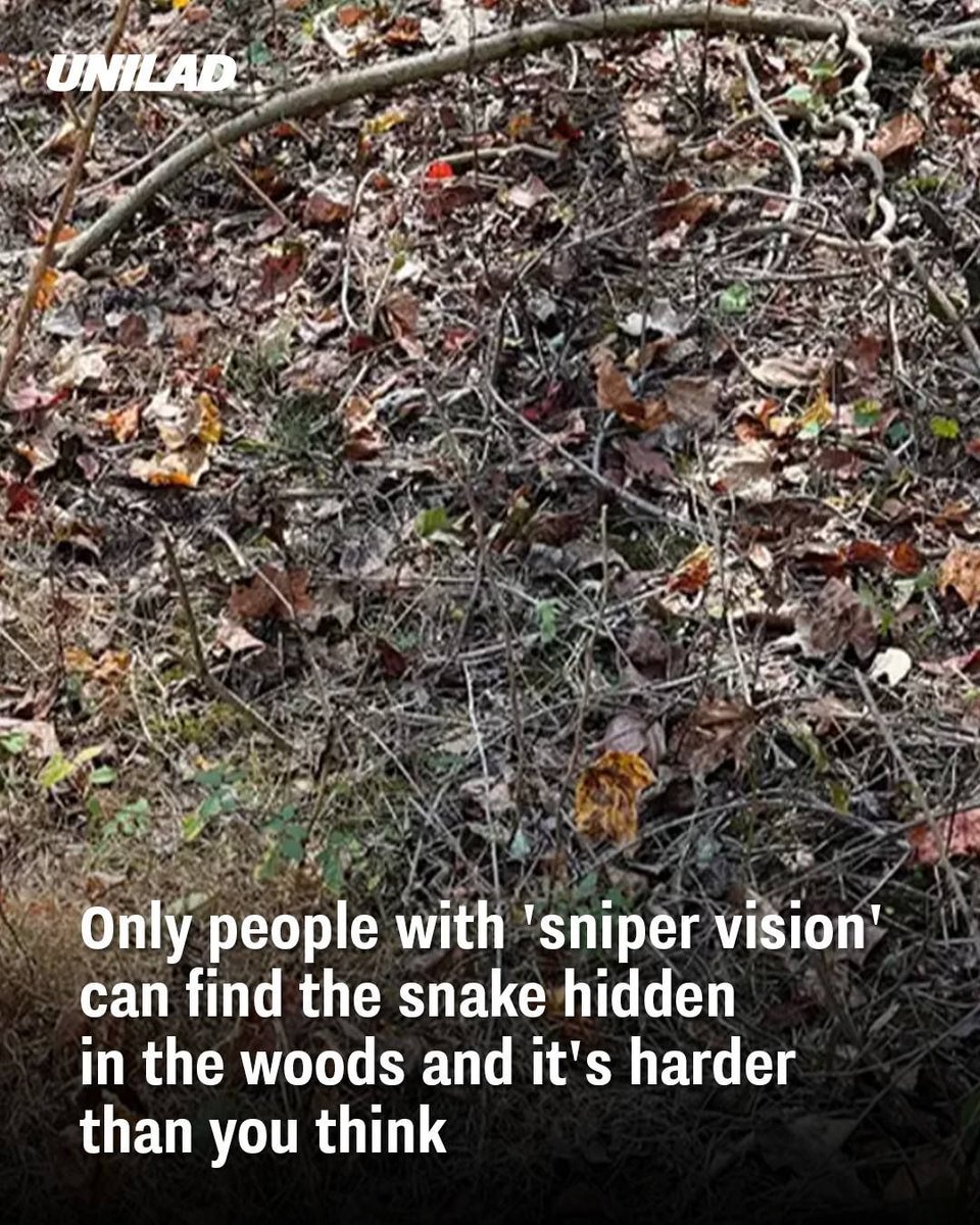 VAR1041fm's tweet photo. Let us know when you find it 👀 https://t.co/NeddwwkvIe