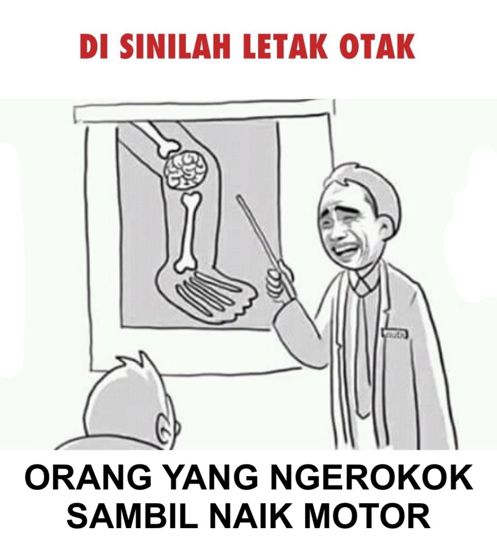 dongo maksimal