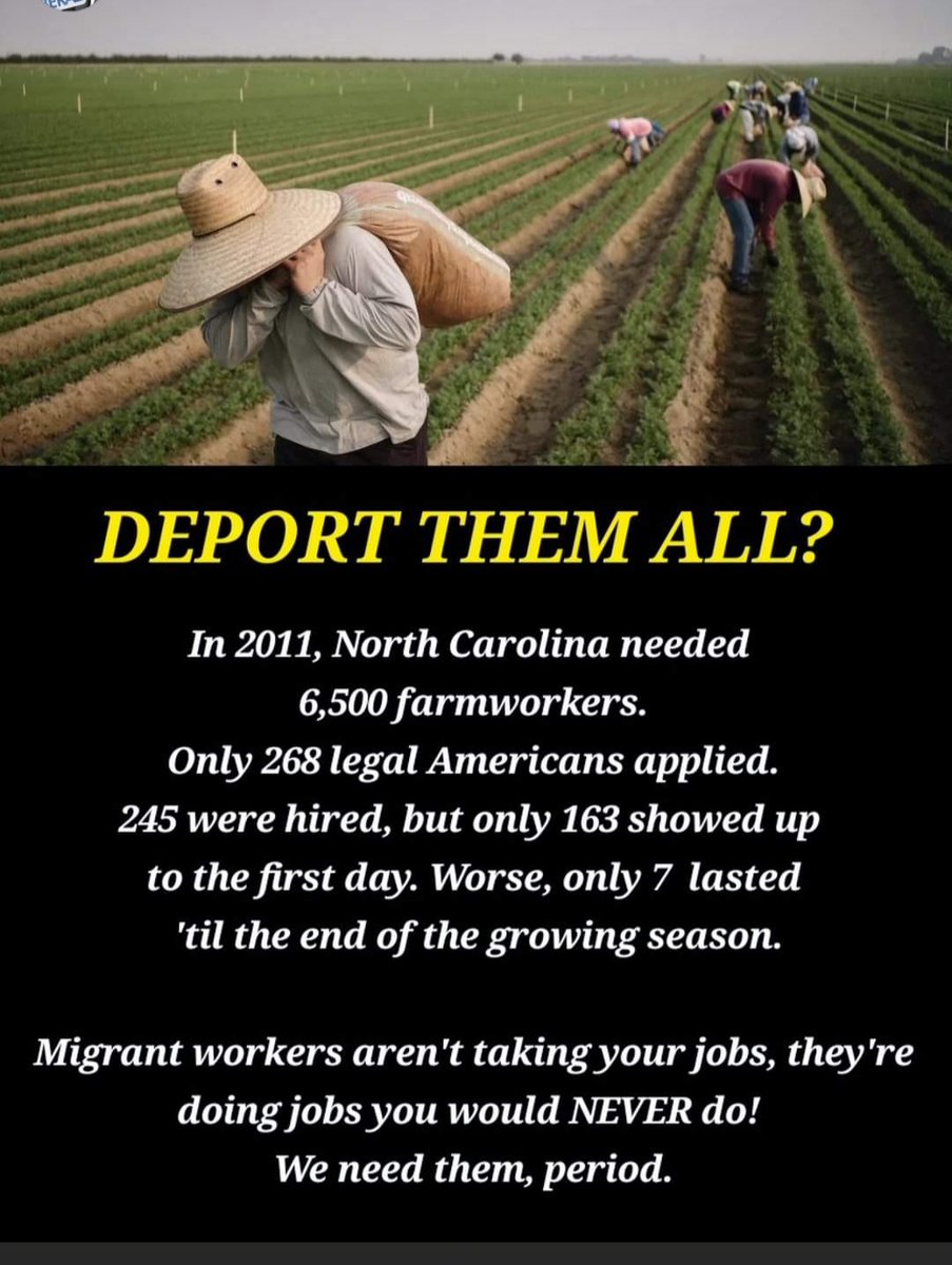 marie_sarjeant's tweet photo. @RossKneeDeep And the chaos begins. Trump will deport all the farm workers who pick the food and the cleaners who clean they're houses.  I hope Trump supporters are ready to do the back breaking farm work and the cleaning of toilets as all those workers will be gone ? https://t.co/TZMO0cl5Wt